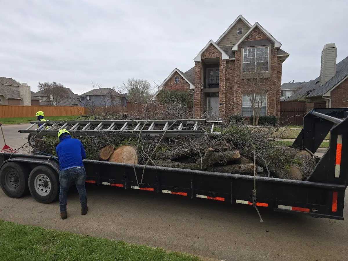 Expert Tree Removal with proper safety equipment in Monroeville